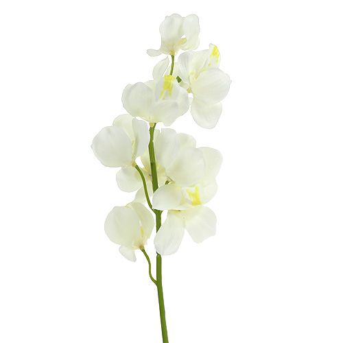 Itens Creme de orquídea artificial 50cm 6pcs