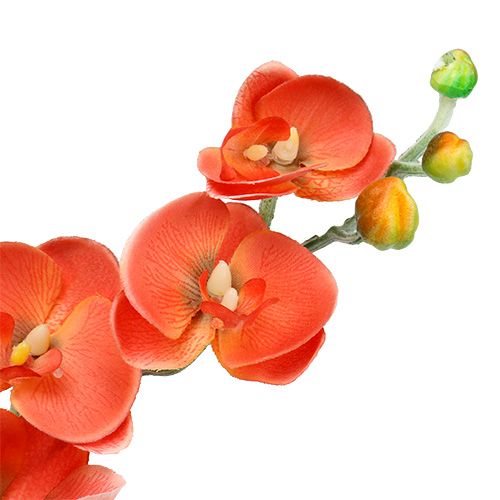 Floristik24 Orquídea dois ramos laranja 60cm