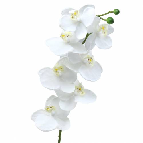 Itens Flor artificial de orquídea artificial branca Ø6,5-8cm 77cm