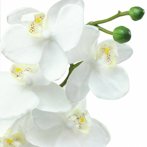 Itens Orquídea Branca 77cm