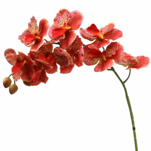Floristik24.pt Orquídea artificial Phaelaenopsis Vermelho, Laranja Alt.81cm  - compre barato online
