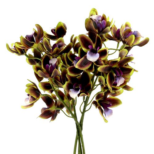 Floristik24 Orquídea Cymbidium Verde, Roxo L38cm 4 unidades