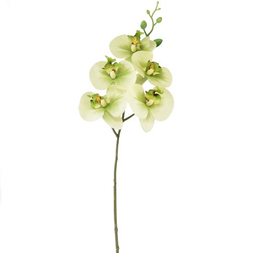 Itens Orquídea Artificial Verde Amarelo Phalaenopsis 85cm