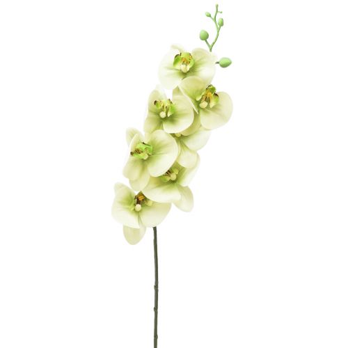 Floristik24 Orquídea Artificial Verde Amarelo Phalaenopsis L83cm