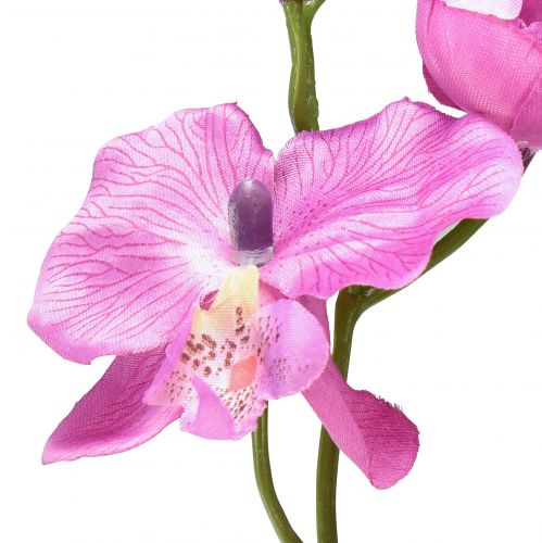 Itens Orquídea Phalaenopsis artificial 6 flores roxas 70cm