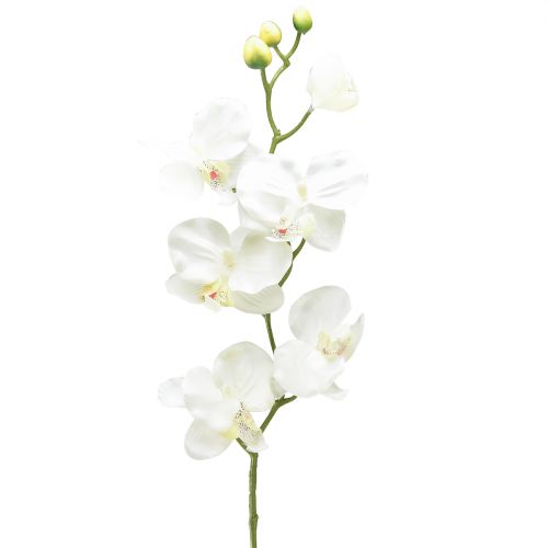 Orquídea Phalaenopsis artificial 6 flores branco creme 70cm