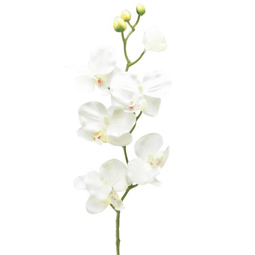 Itens Orquídea Phalaenopsis artificial 6 flores branco creme 70cm