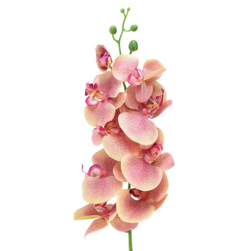Itens Orquídea Phalaenopsis artificial 9 flores rosa baunilha 96cm
