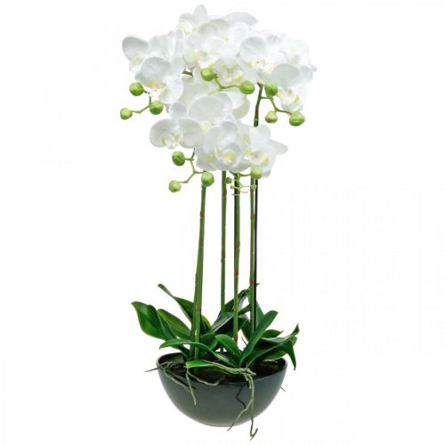 Floristik24 Orquídeas artificiais em vaso planta artificial branca 63cm
