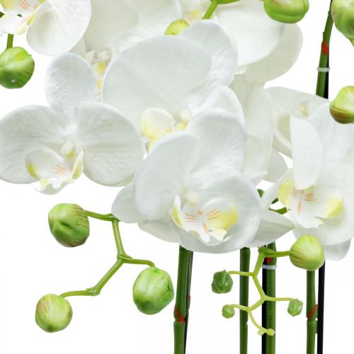 Floristik24 Orquídeas artificiais em vaso planta artificial branca 63cm