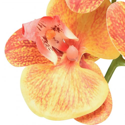 Itens Orquídea artificial Phalaenopsis flamejada vermelha amarela 78cm
