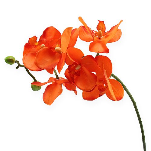 Floristik24 Ramo de orquídea laranja 61 cm
