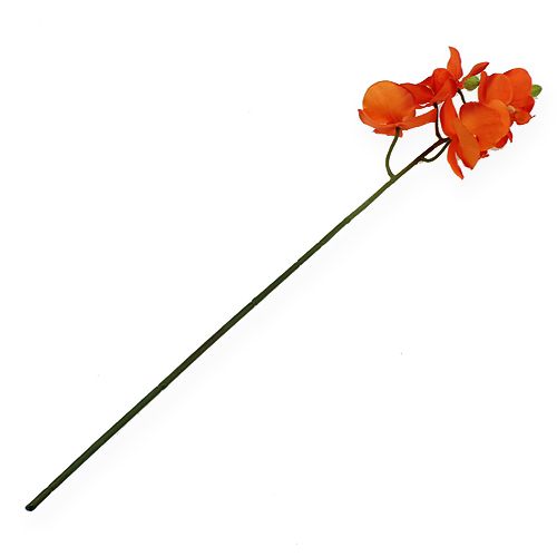 Floristik24 Ramo de orquídea laranja 61 cm
