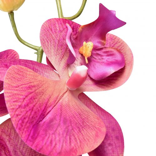 Itens Orquídea artificial Phalaenopsis Orquídea Fúcsia 78cm