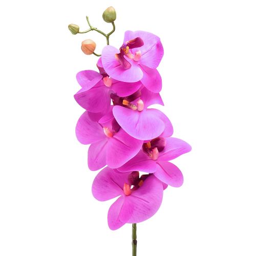 Itens Orquídea artificial Phalaenopsis Orquídea Rosa 78cm