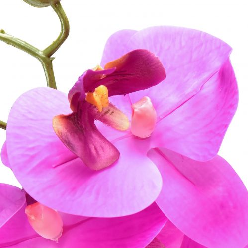 Itens Orquídea artificial Phalaenopsis Orquídea Rosa 78cm