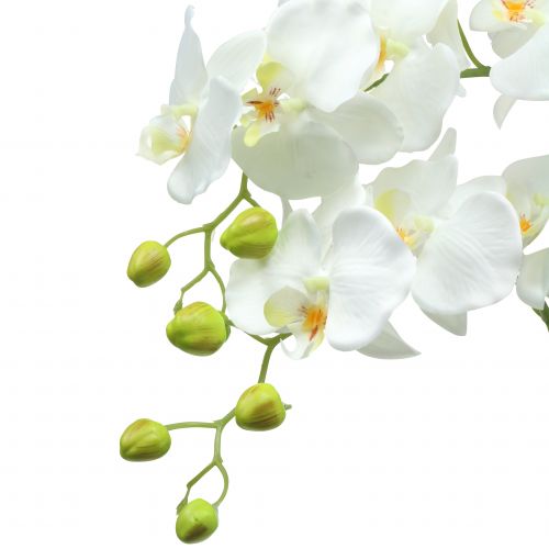 Floristik24 Orquídea branca em uma bola de 118cm