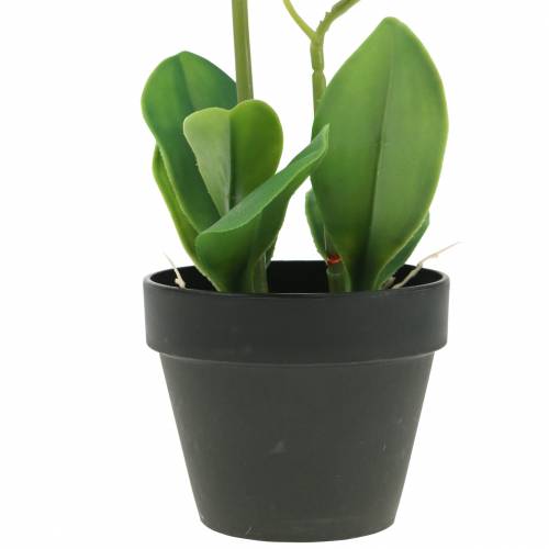 Floristik24 Orquídeas brancas em vaso de planta artificial Alt.35cm