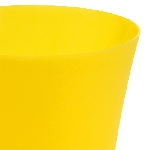 Floristik24 Vaso de orquídea em plástico amarelo Ø12,5cm Alt.14cm, 1p