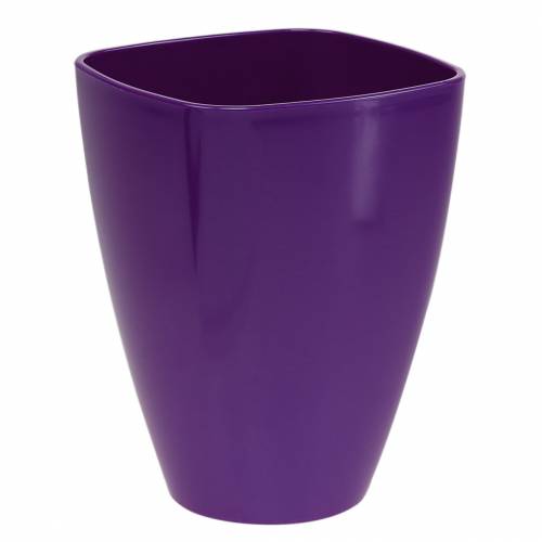 Vaso para orquídeas, brilhante, Ø12,5cm, violeta comprar | Floristik24.pt