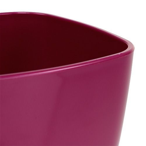 Itens Vaso de orquídea brilhante Ø12,5cm cereja 1ud