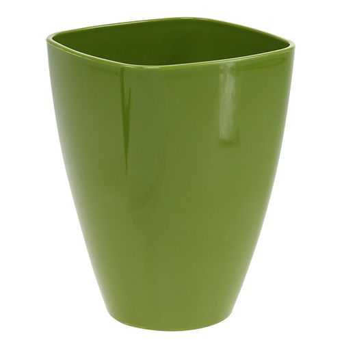 Floristik24 Vaso de orquídea brilhante Ø12,5cm verde oliva, 1 peça