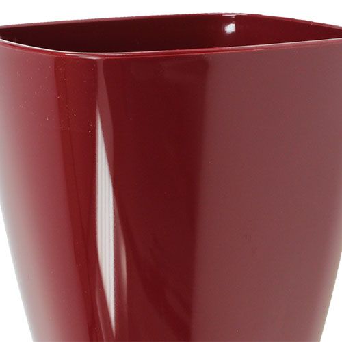 Itens Vaso de orquídea brilhante Ø12,5cm Bordeaux 1ud