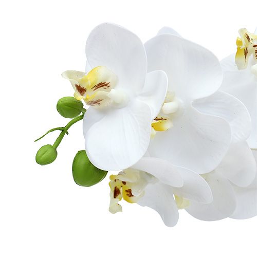 Itens Ramo de orquídea branco L58cm