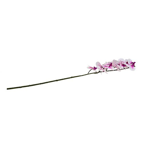 Floristik24 Ramo de orquídea branco-rosa L58cm