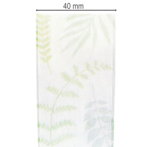 Itens Fita de organza, fita de chiffon, verde com gavinhas de folhas, 40 mm de largura, 15 m de comprimento.