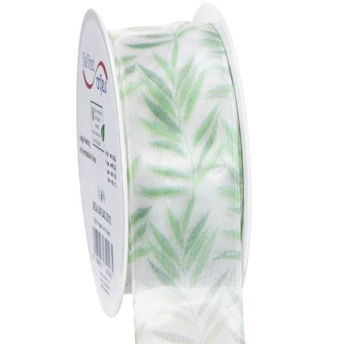 Floristik24 Fita de organza, fita de chiffon, fita com estampa de plantas verdes, 40 mm x 15 m