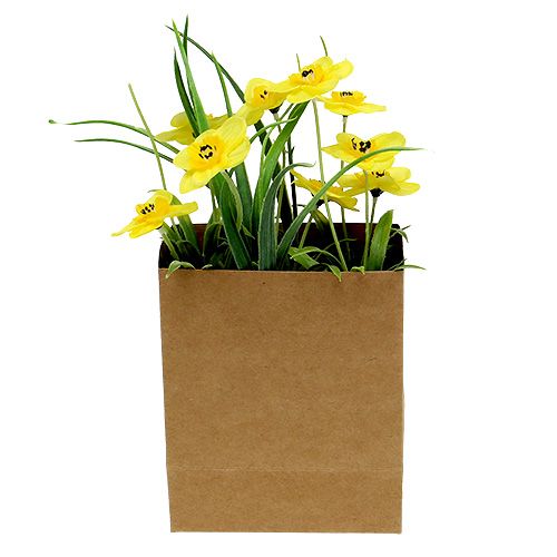 Narciso em saco de papel amarelo Alt.21cm