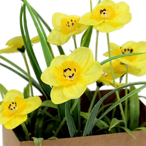 Floristik24 Narciso em saco de papel amarelo Alt.21cm