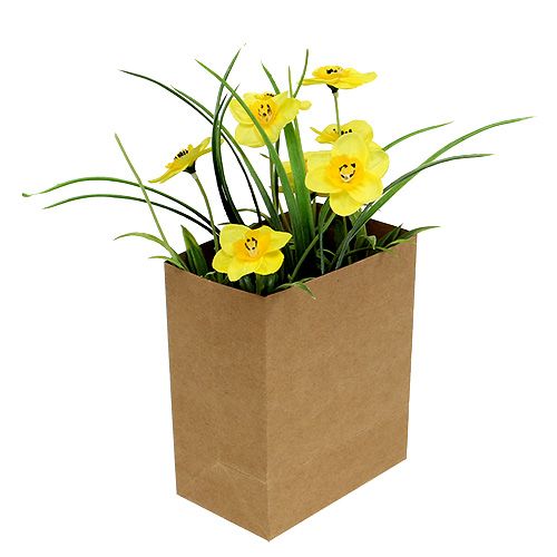 Floristik24 Narciso em saco de papel amarelo Alt.21cm