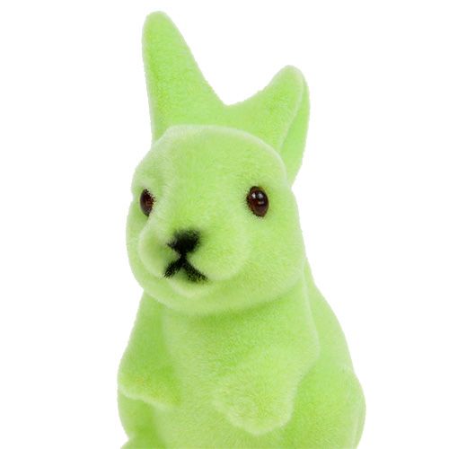 Floristik24 Coelhinho da Páscoa reunido 9,5 cm mistura verde 9 unidades