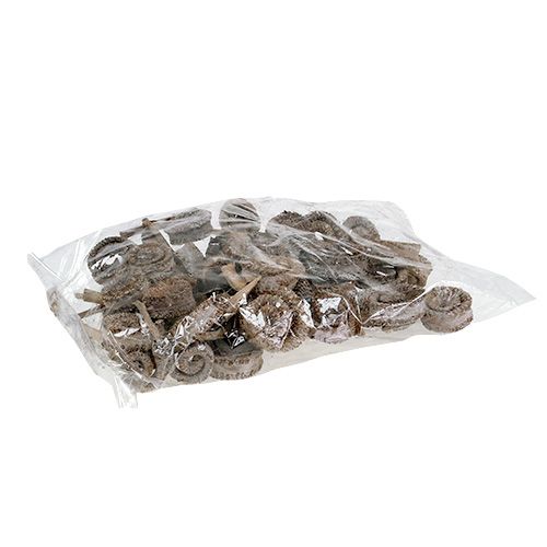 Itens Palmeira Masculina Lavada Branco 25 un