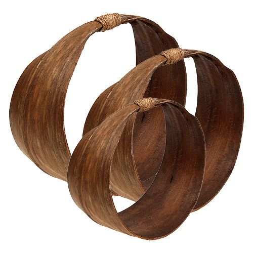 Folha de palmeira definida natureza 21cm -26cm
