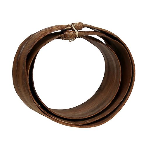 Floristik24 Folha de palmeira definida natureza 21cm -26cm