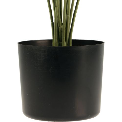 Floristik24 Palmeira decorativa em leque palma plantas artificiais vaso verde 80cm