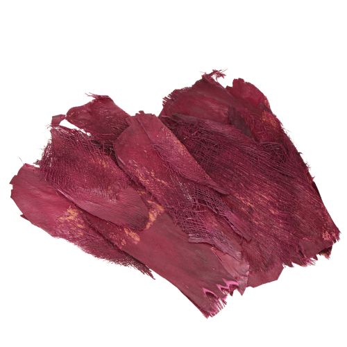 Floristik24 Decoração natural de fibra de palmeira fibra natural Berry 25-50cm 250g