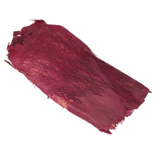 Floristik24 Decoração natural de fibra de palmeira fibra natural Berry 25-50cm 250g