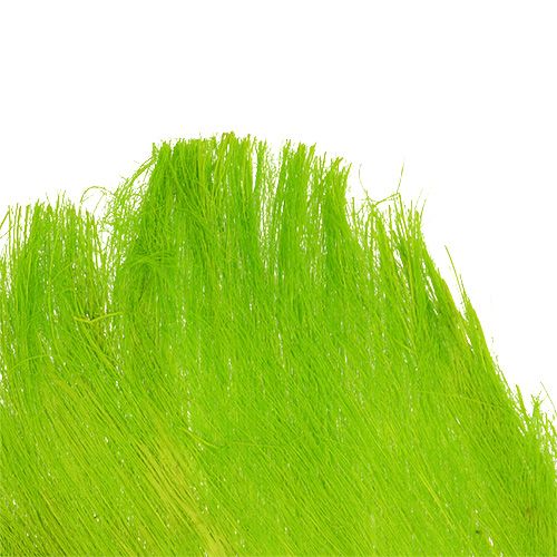 Floristik24 Fibra de palmeira pastel verde claro 400gr