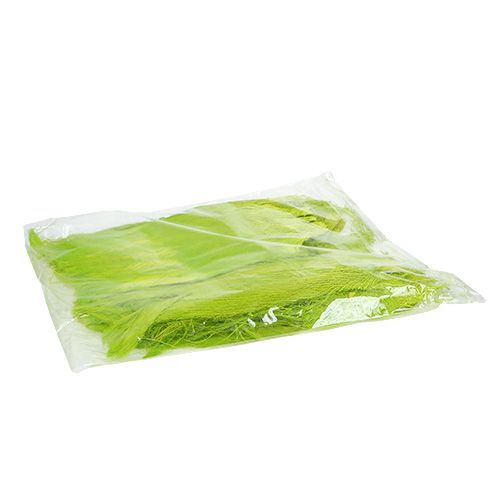 Floristik24 Fibra de palmeira pastel verde claro 400gr