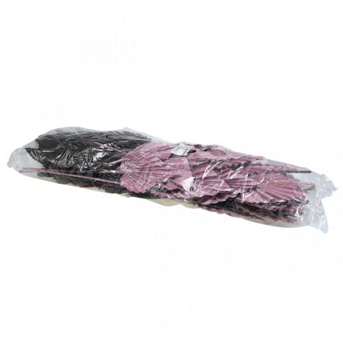 Itens Palmspear Mix Pink Berry, Floricultura Memorial Lavada Branca 65 unidades