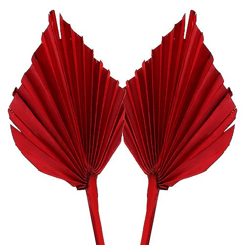 Palm spear vermelho 65pcs