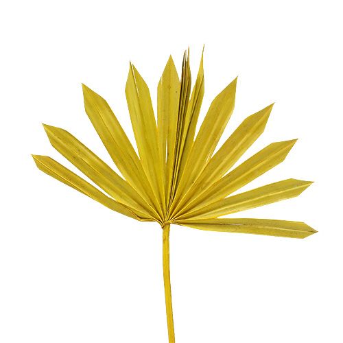 Palmspear Sun mini amarelo 50 unidades