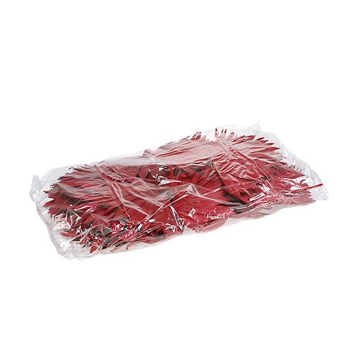 Itens Palmspear Sun mini Vermelho 50 unidades
