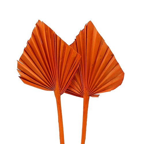 Itens Palmspear mini laranja 100 unidades