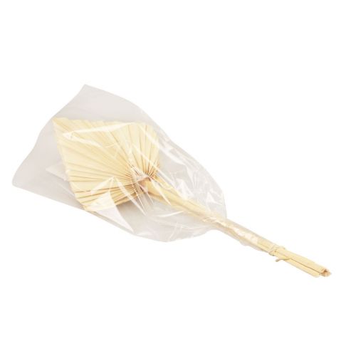 Floristik24 Palmspear folhas de palmeira decoração natural branqueadas 12,5×38cm 4 un