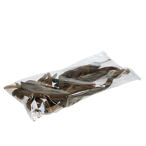 Floristik24 Cones de palmeira decoração natural 3 dobras 10 un
